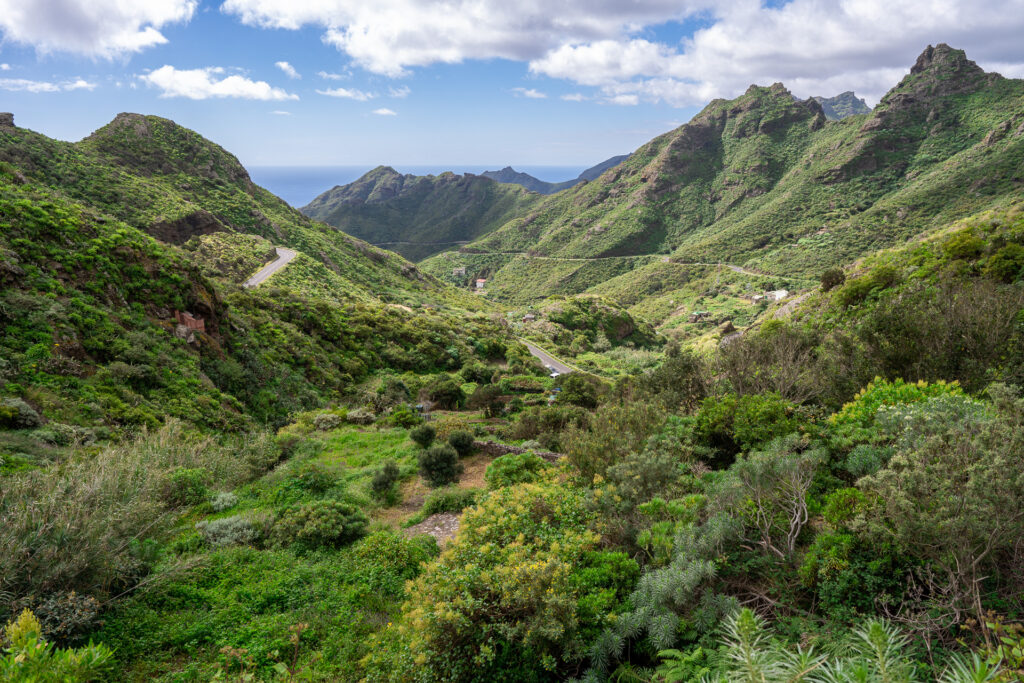Massif de l'Anaga - Vue sur Santa Cruz de Tenerife